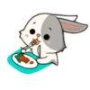 little Bunny 7