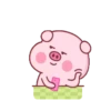 PINK PIG 9