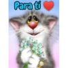 Gatitos cariñosos Mov 8