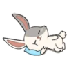 little Bunny 8