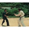 Bruce Lee Mov 6