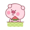 PINK PIG 10