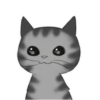 ‍American shorthair‍ Mov 11