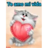 Gatitos cariñosos Mov 11