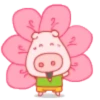 PINK PIG mov. 11