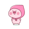 PINK PIG 11