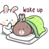 Funny bunny 8