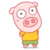 PINK PIG mov. 13