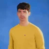 JONAᔕ BROTHERᔕ MOV 7