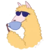 llama amarillamov 8