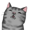 ‍American shorthair‍ Mov 15