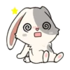 little Bunny 9