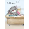 Gatitos cariñosos Mov 14