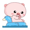 PINK PIG mov. 14