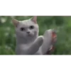 Mais gatinhos 9 16