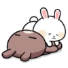 Funny bunny 10