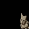 Catland 😺 19