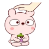 Cerditos bebé 16