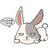 little Bunny 10