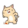 Gatinhos fofos 11