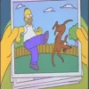 Los Simpsons Mov 9