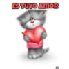 Gatitos cariñosos Mov 16