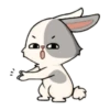 little Bunny 11