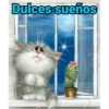 Gatitos cariñosos Mov 17