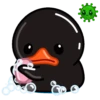 Black duck MOVbyYessy 12