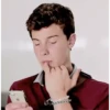 Shawn Mendes MOV 15