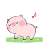 PINK 6