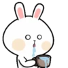 Funny bunny 15