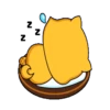 Pochi y Mochi 14