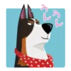 Secret Life Of Pets 12
