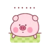 PINK PIG 15