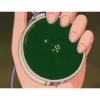 koki 6 Dragón ball 2 20