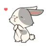 little Bunny 13