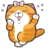 S̲E̲L̲E̲C̲C̲I̲O̲N̲ R̲U̲P̲P̲E̲R̲T̲ C̲A̲T̲ Mov 15
