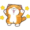 S̲E̲L̲E̲C̲C̲I̲O̲N̲ R̲U̲P̲P̲E̲R̲T̲ C̲A̲T̲ Mov 16