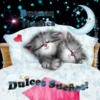 Gatitos cariñosos Mov 20