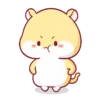 Hamster PangPang 12