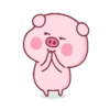 PINK PIG 16