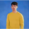 JONAᔕ BROTHERᔕ MOV 13