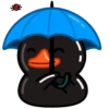 Black duck MOVbyYessy 14