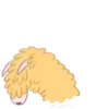 llama amarillamov 12