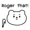 🐻BEAR EXPRESSIONS 17