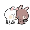 Funny bunny 17