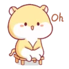 Hamster PangPang 14