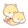 Hamster PangPang 15