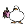 ︾︽ DUCKS『2』︽︾ Mov 13